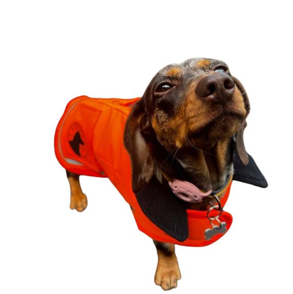 Waterproof Dog Coat